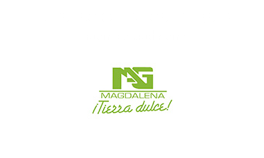 Instalación de Caldera 12 Ingenio Magdalena ﷯ 